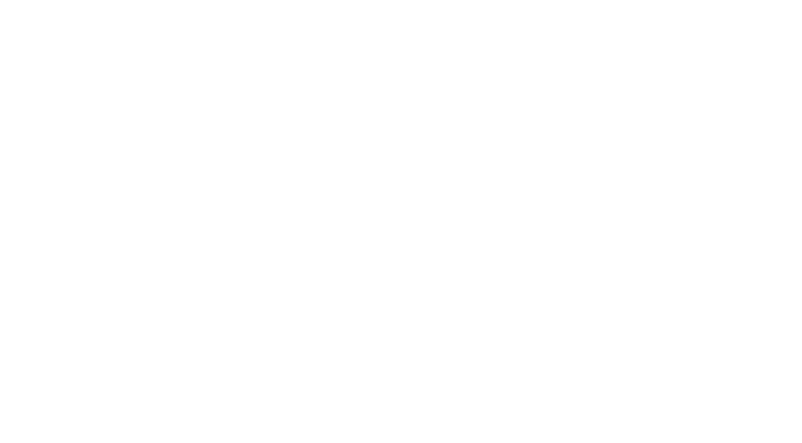 Starconnect Logo weiß lang
